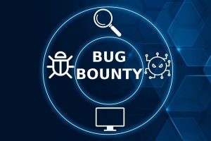 Bug Bounty Program