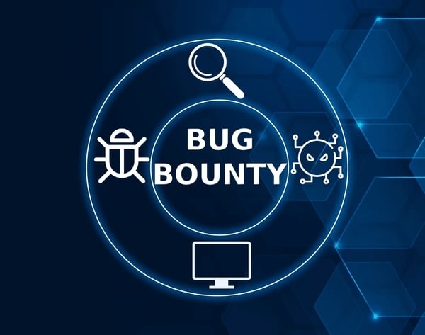 Bug Bounty Program